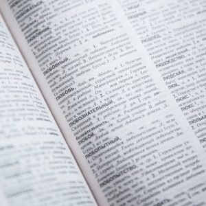 Tercümanlık Hizmetleri